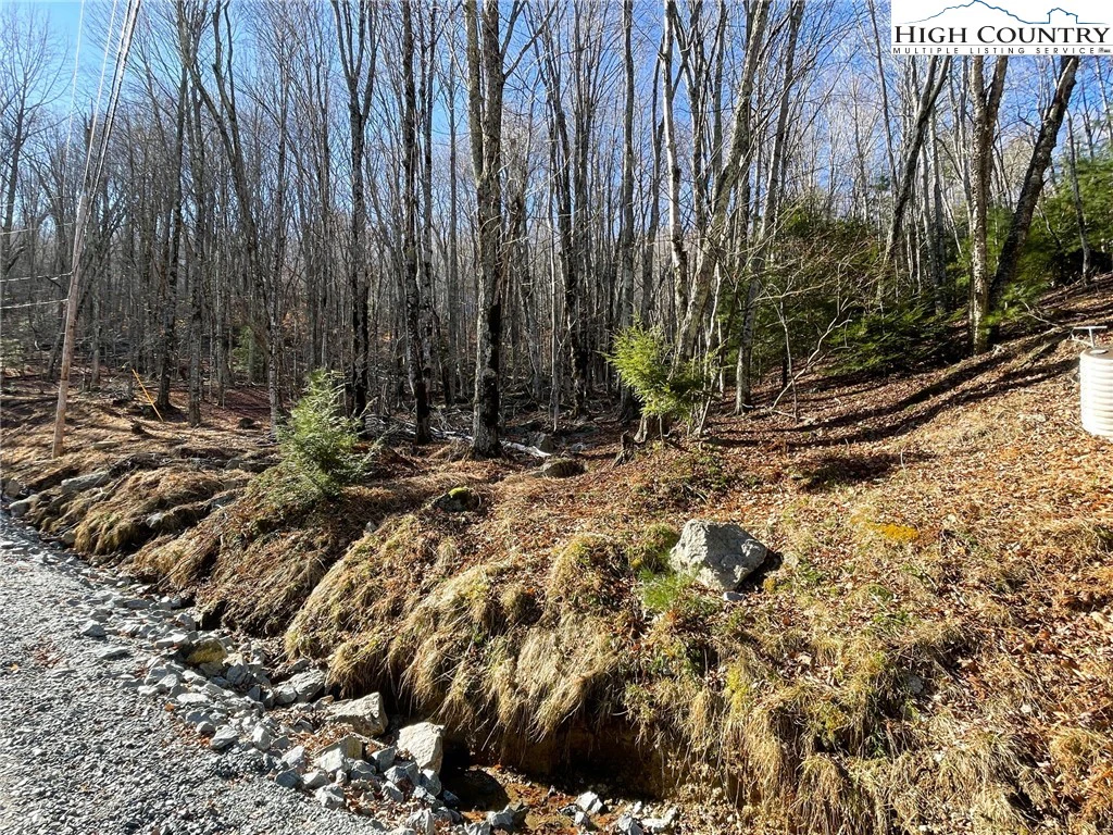 Image number 3 for the current listing