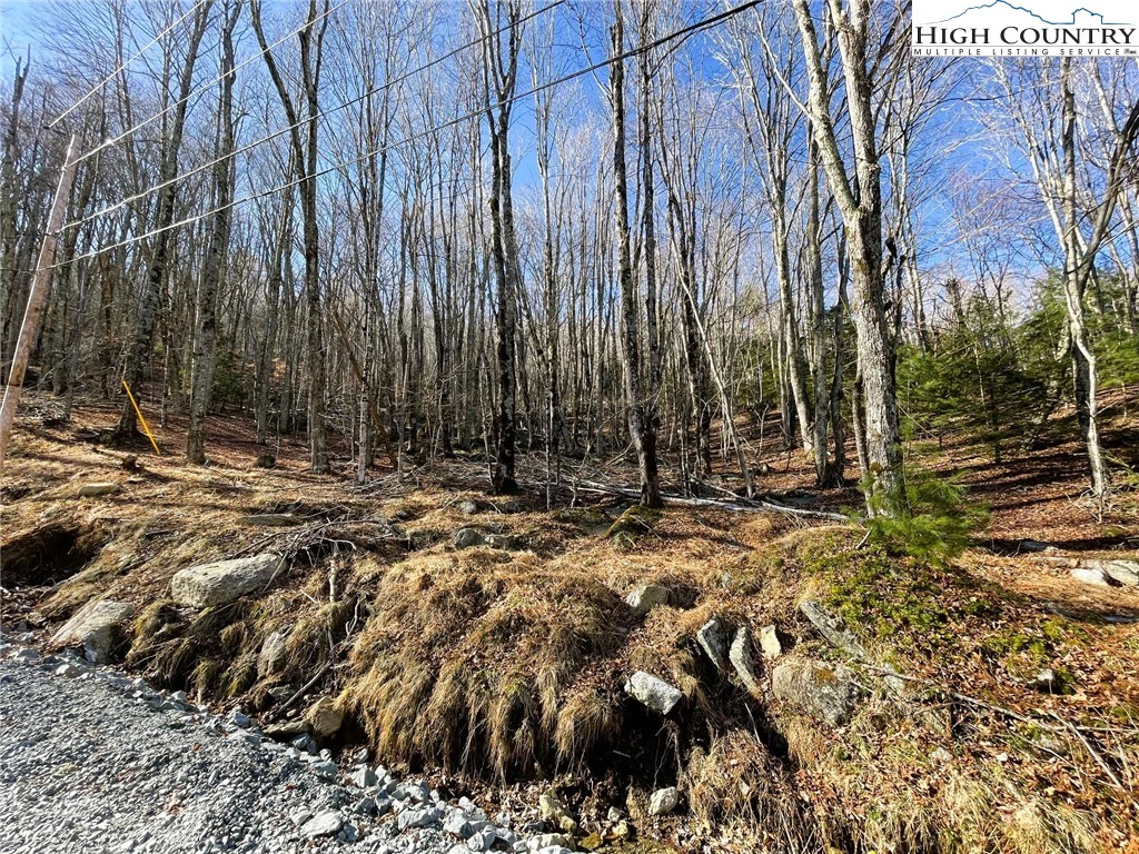 Image number 5 for the current listing