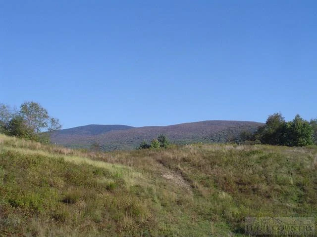 Image number 2 for the current listing