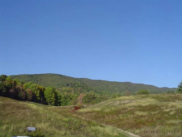 Image number 8 for the current listing