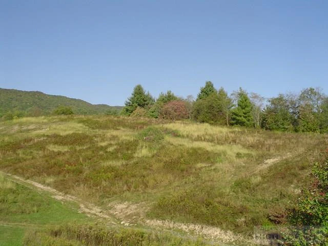 Image number 7 for the current listing