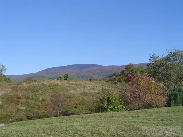 Image number 6 for the current listing