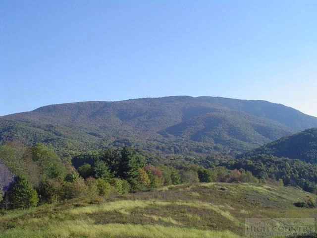 Image number 5 for the current listing