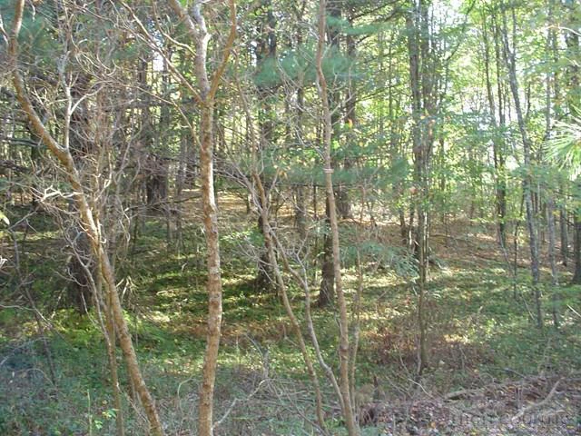 Image number 4 for the current listing