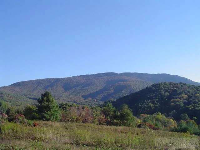 Image number 3 for the current listing