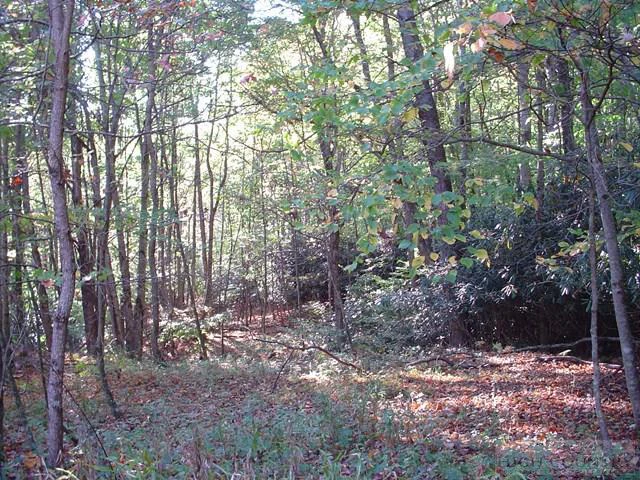 Image number 21 for the current listing