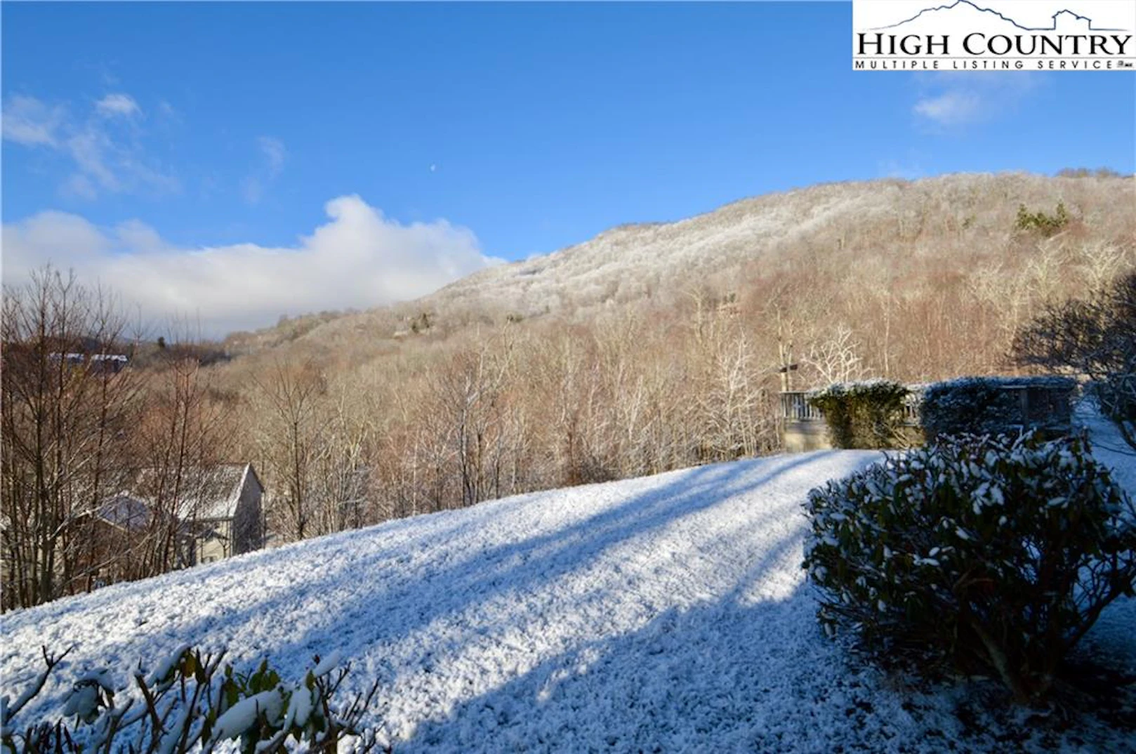 Image number 11 for the current listing