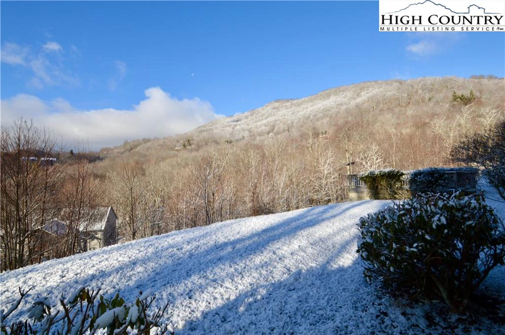 Image number 11 for the current listing