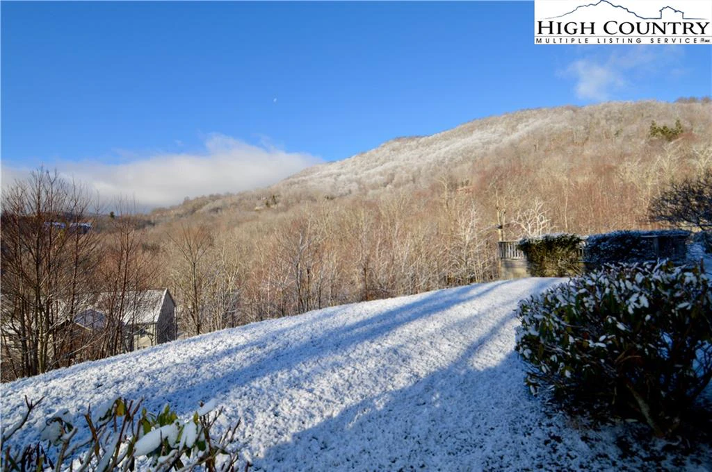 Image number 14 for the current listing