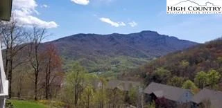 Image number 1 for the current listing