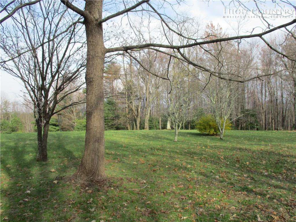 Image number 12 for the current listing