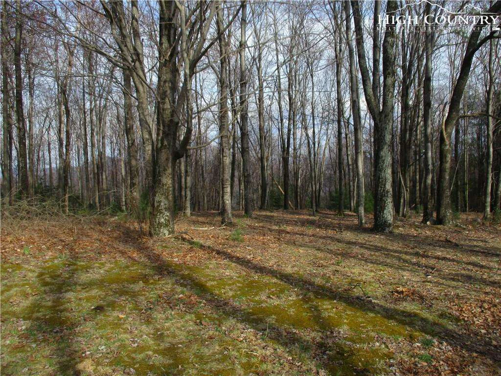 Image number 13 for the current listing