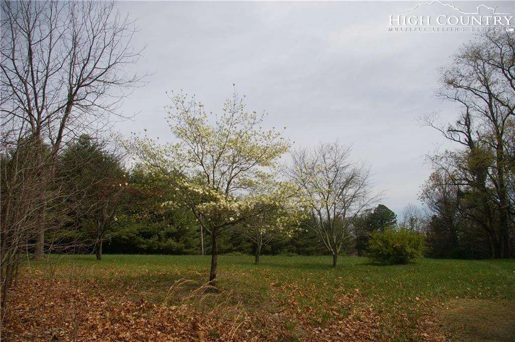 Image number 14 for the current listing