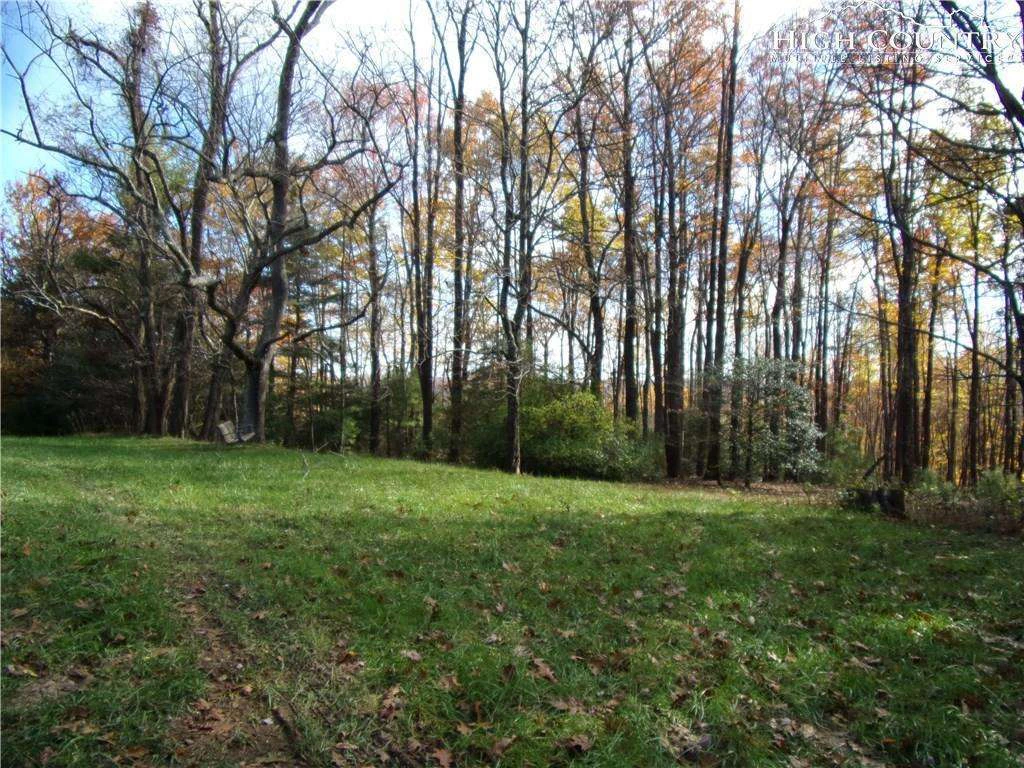 Image number 4 for the current listing