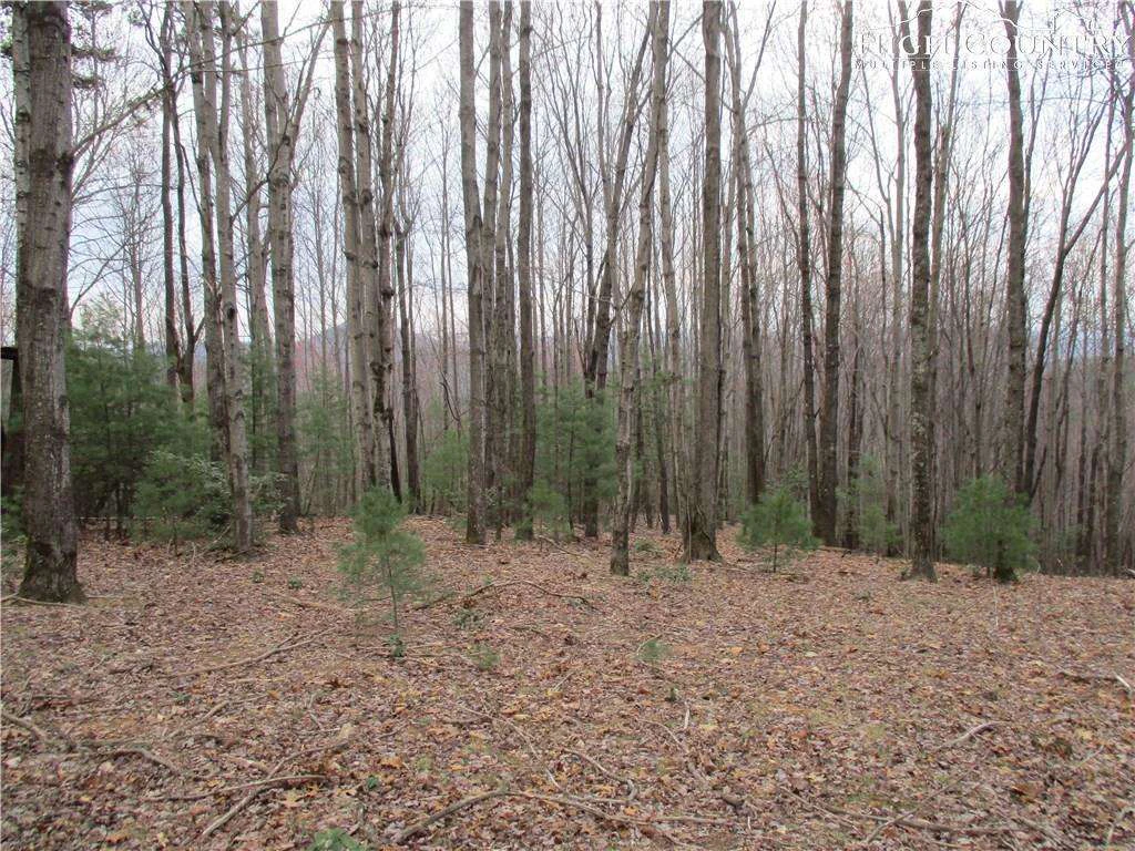 Image number 6 for the current listing