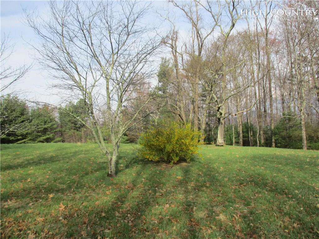 Image number 7 for the current listing