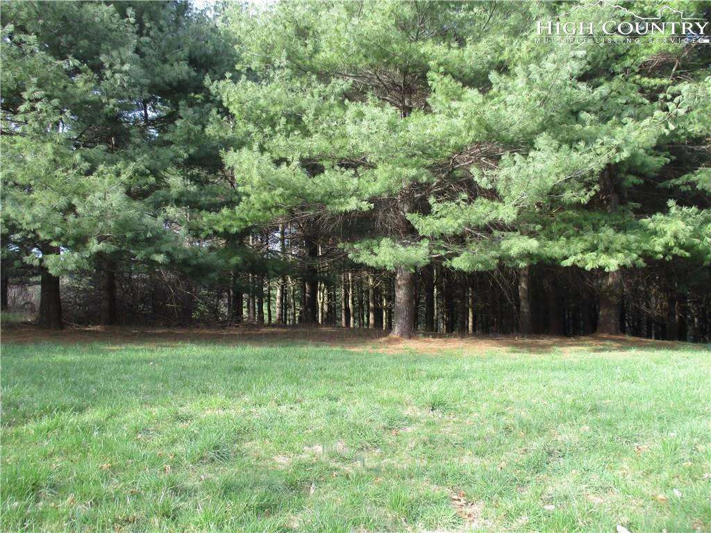 Image number 8 for the current listing