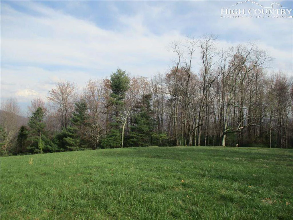 Image number 10 for the current listing
