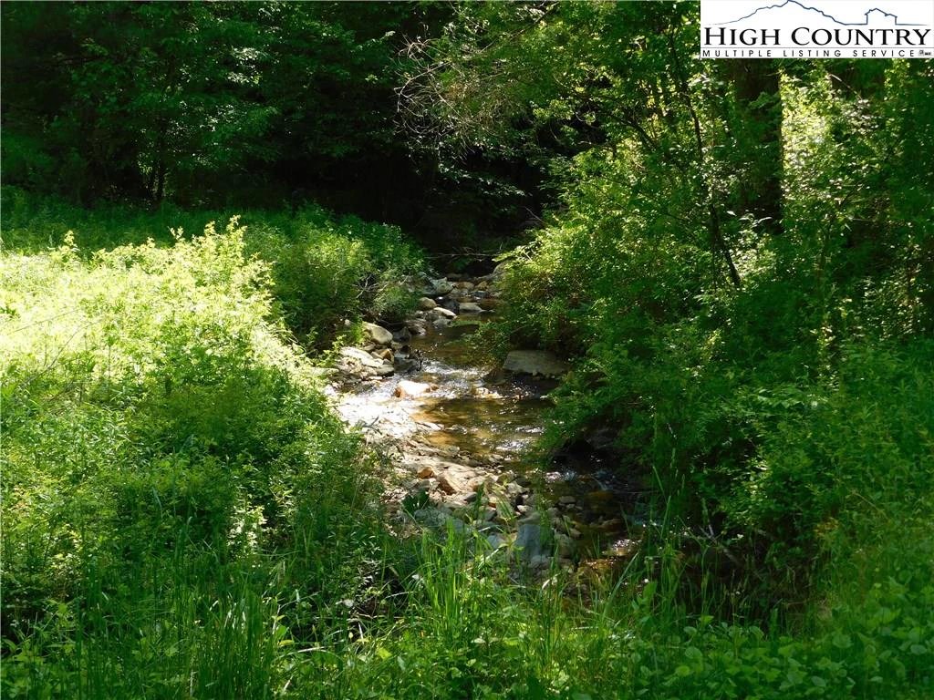 Image number 6 for the current listing