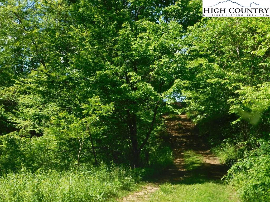 Image number 8 for the current listing