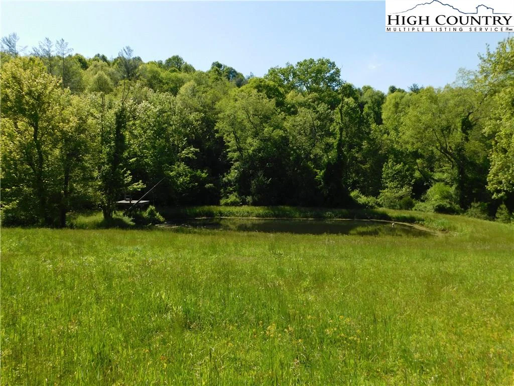 Image number 9 for the current listing