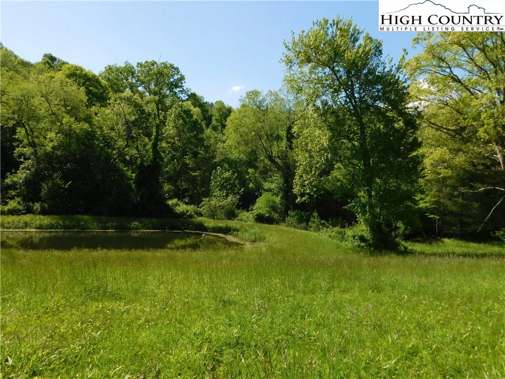 Image number 10 for the current listing