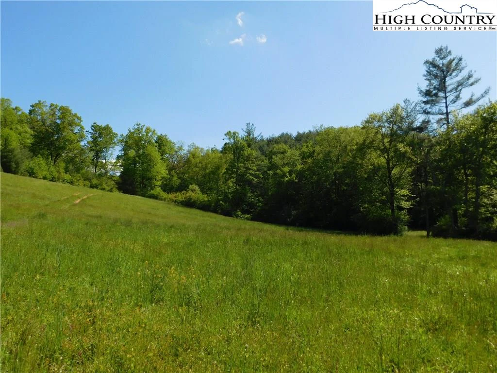 Image number 12 for the current listing