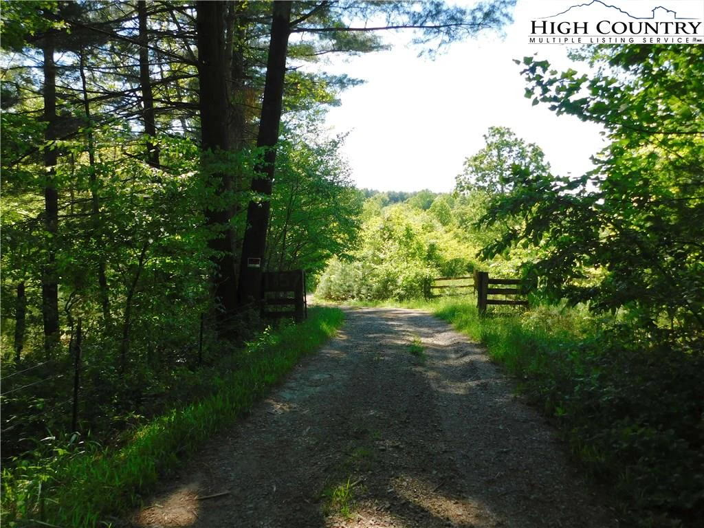 Image number 15 for the current listing