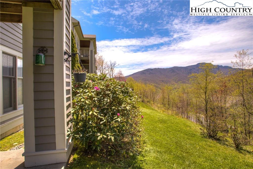Image number 4 for the current listing