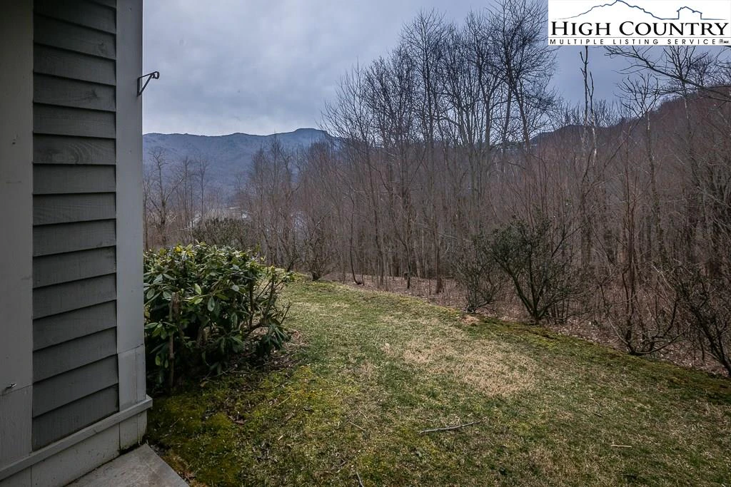Image number 4 for the current listing