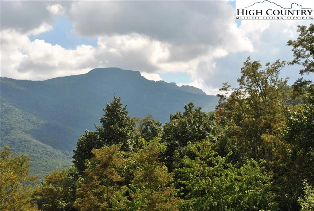 Image number 4 for the current listing