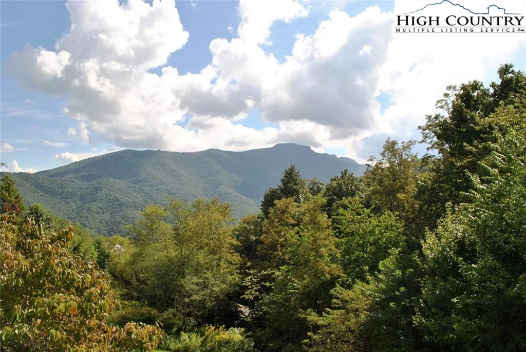 Image number 3 for the current listing
