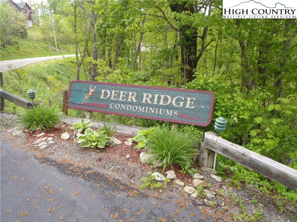 Image number 13 for the current listing