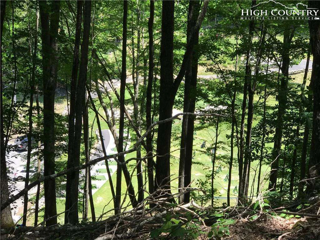 Image number 1 for the current listing
