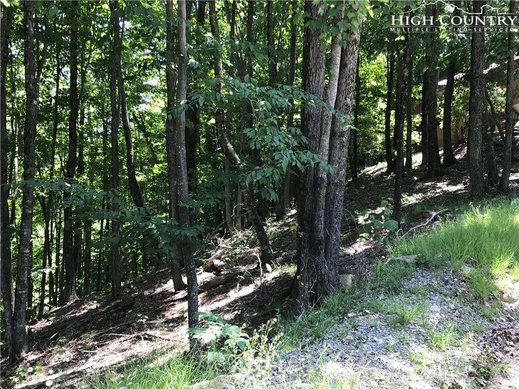Image number 4 for the current listing