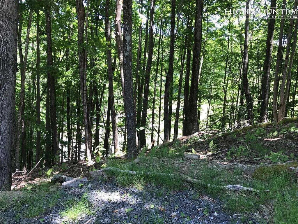 Image number 5 for the current listing