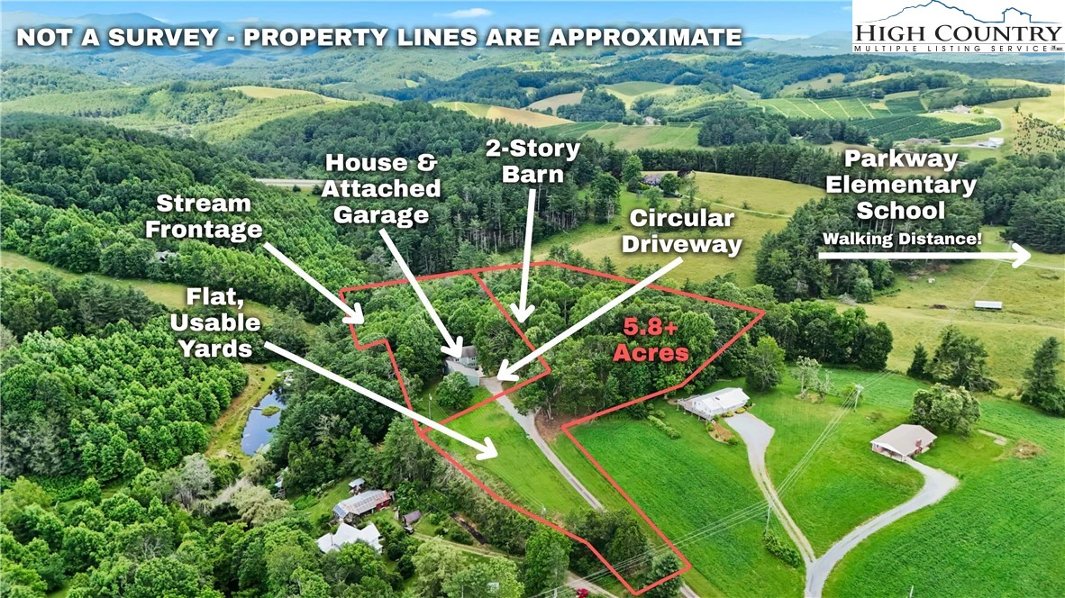 Image number 1 for the current listing
