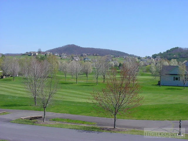 Image number 5 for the current listing