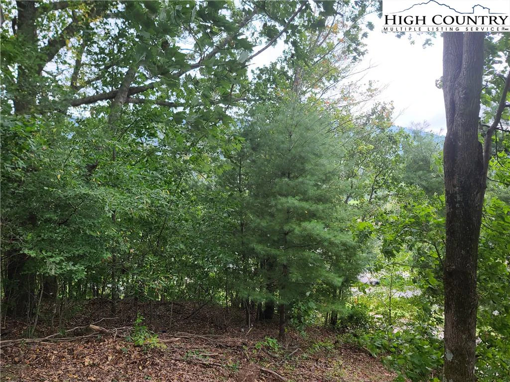Image number 4 for the current listing