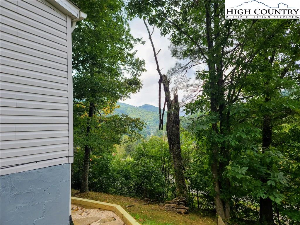 Image number 3 for the current listing