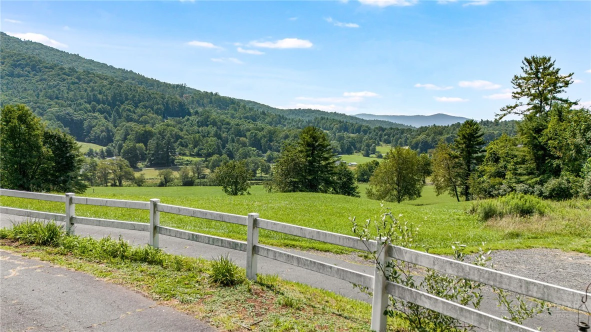 Image number 4 for the current listing