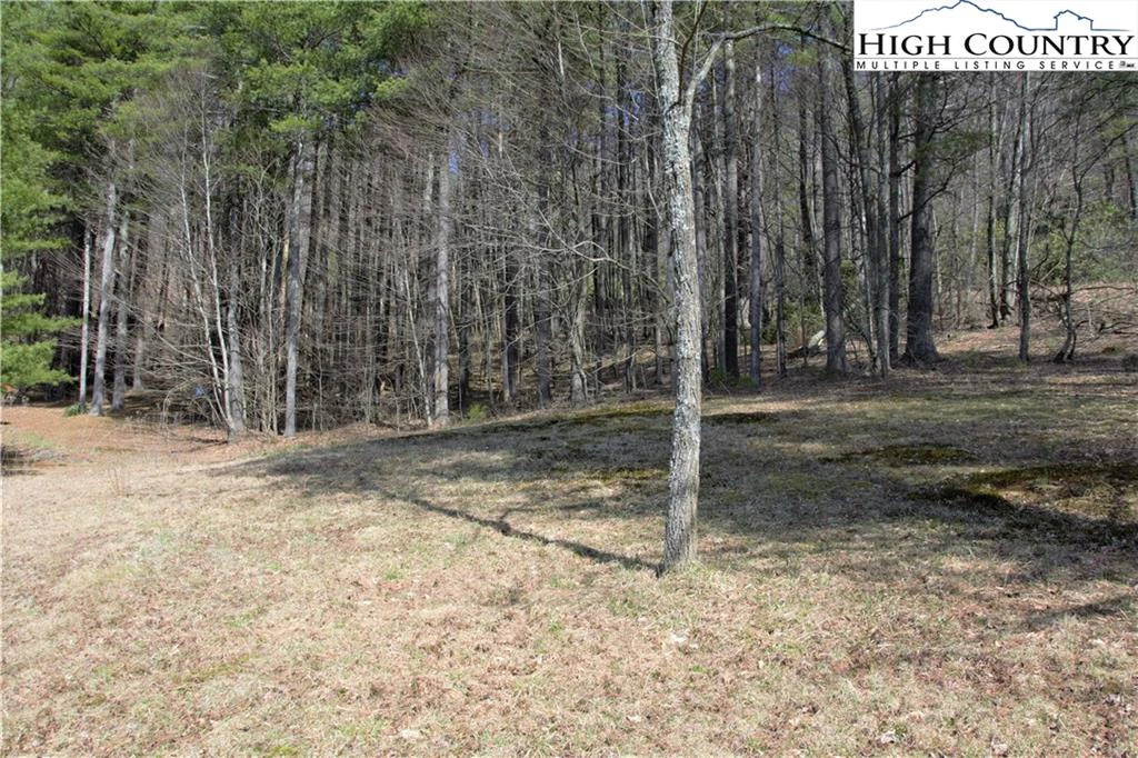 Image number 2 for the current listing