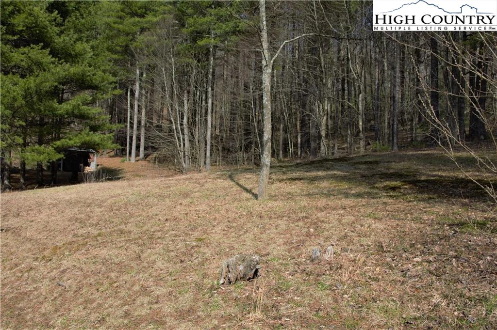 Image number 11 for the current listing