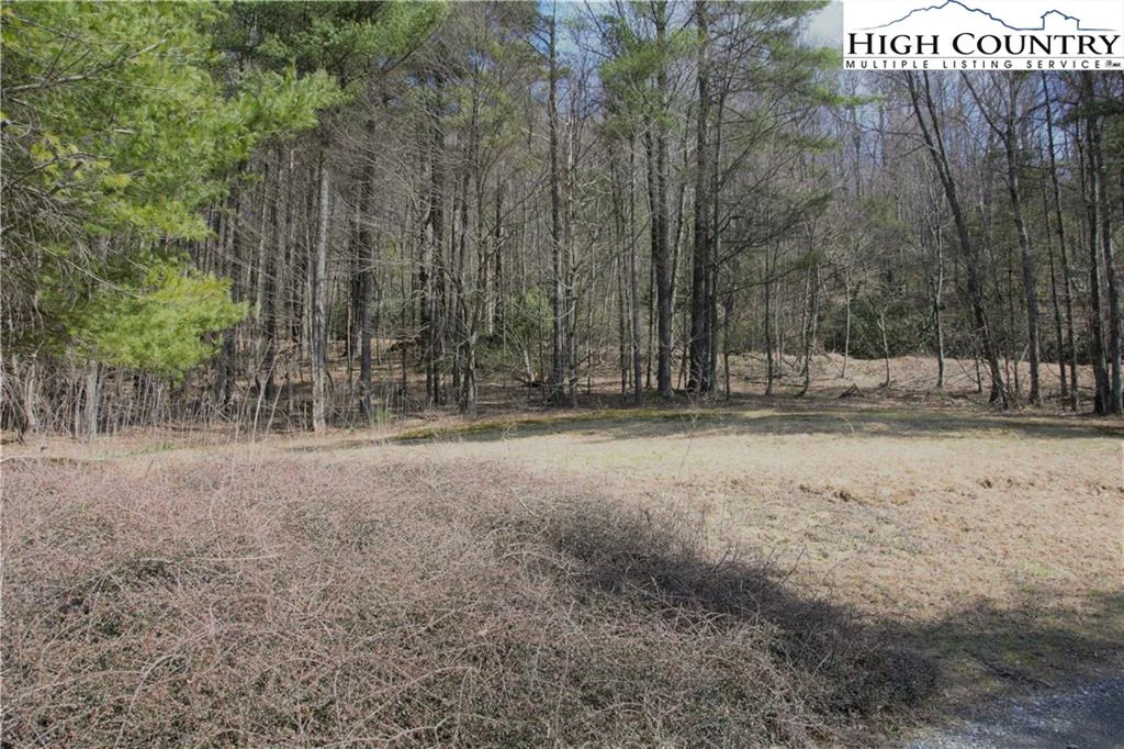 Image number 12 for the current listing