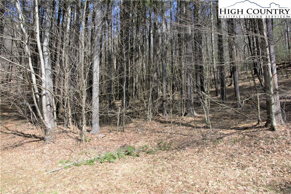 Image number 13 for the current listing