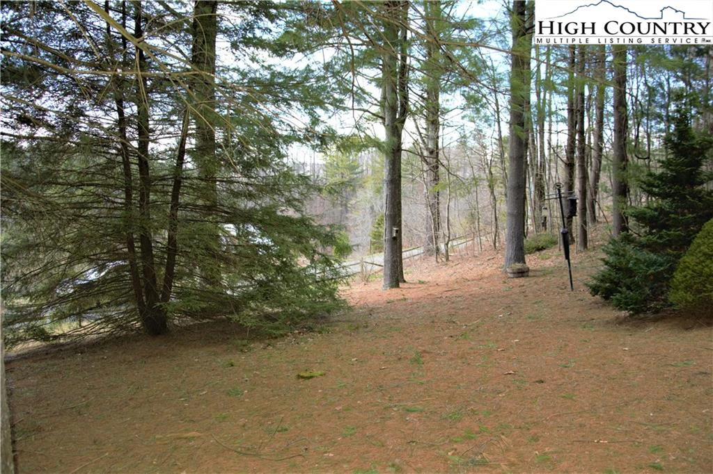 Image number 14 for the current listing