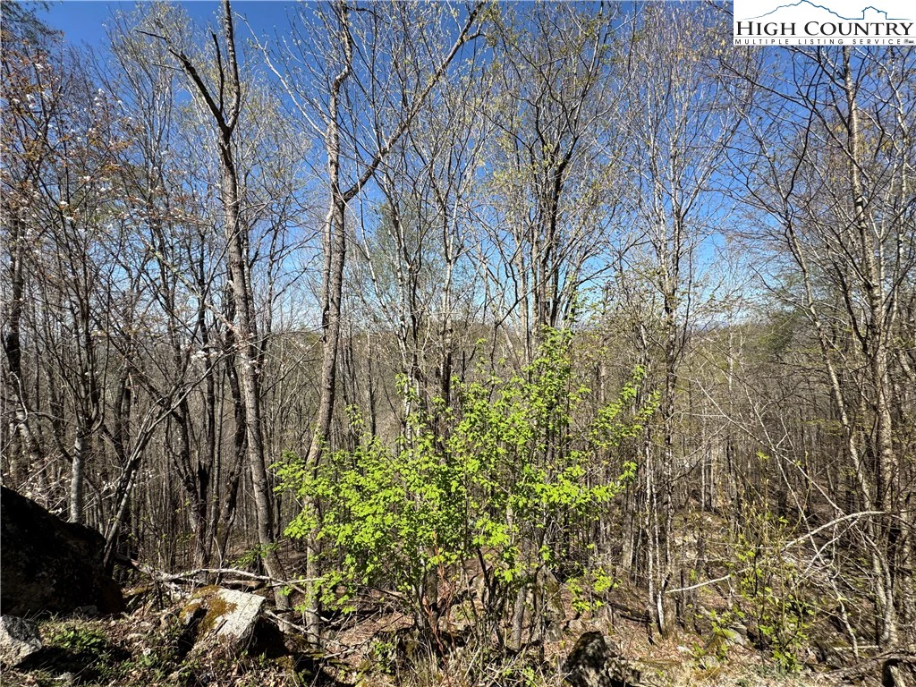 Image number 12 for the current listing