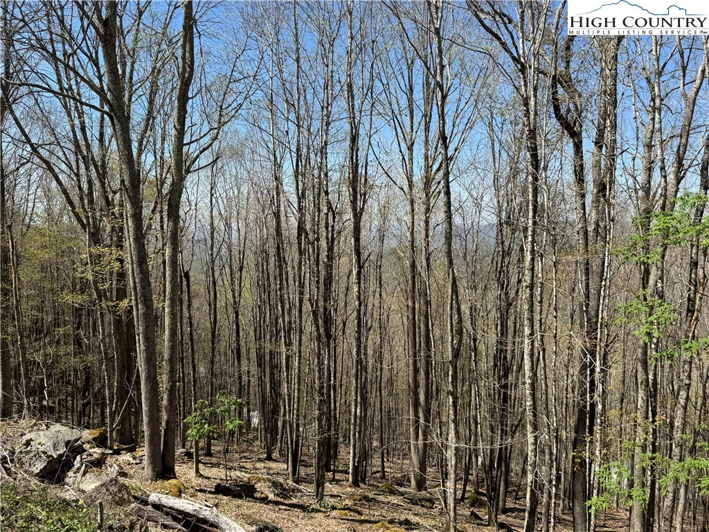 Image number 9 for the current listing
