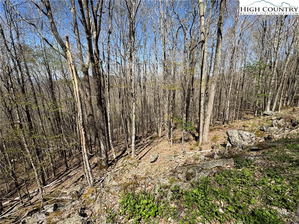 Image number 5 for the current listing