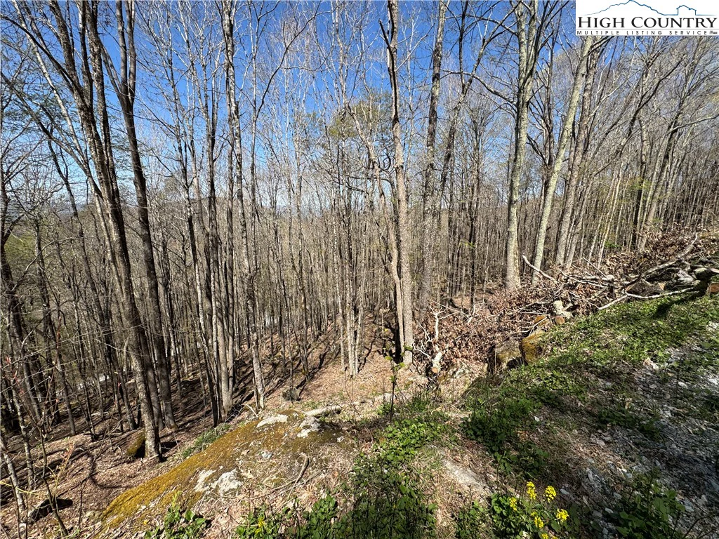 Image number 4 for the current listing